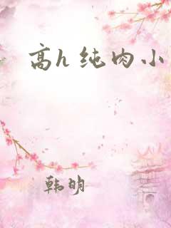 高h 纯肉小说