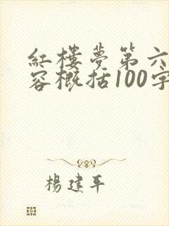 红楼梦第六回内容概括100字左右