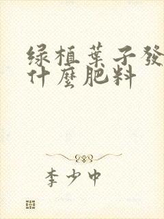 绿植叶子发黄用什么肥料