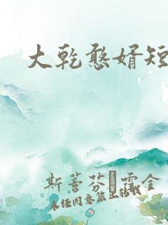 大乾憨婿短剧