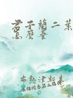 君子兰二叶小苗怎么养
