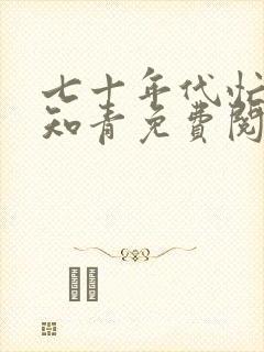 七十年代忙碌小知青免费阅读
