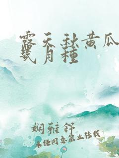露天秋黄瓜一般几月种