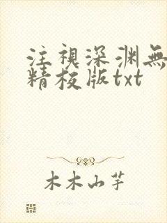 注视深渊无删减精校版txt