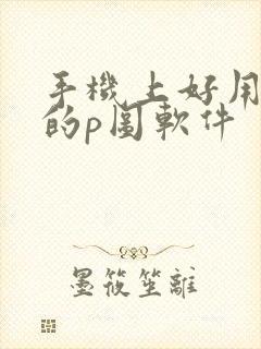 手机上好用免费的p图软件
