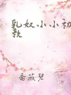 乳奴小小初尝调教 乳奴小小初尝调教