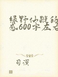 绿野仙踪的读后感600字左右