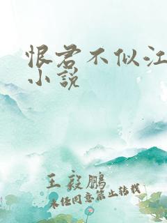 恨君不似江楼月小说 恨君不似江楼月小说