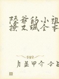 陆爷的小祖宗又撩又飒全本免费阅读