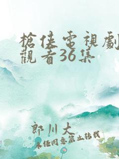枪侠电视剧免费观看36集