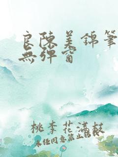 良陈美锦笔趣阁无弹窗