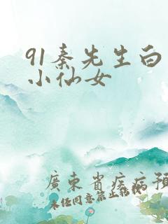 91秦先生白丝小仙女