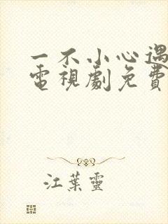 一不小心遇到爱电视剧免费播放