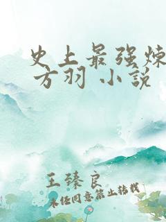 史上最强炼气期 方羽 小说 史上最强炼气期 方羽 小说
