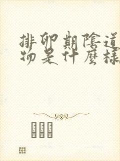 排卵期阴道分泌物是什么样的
