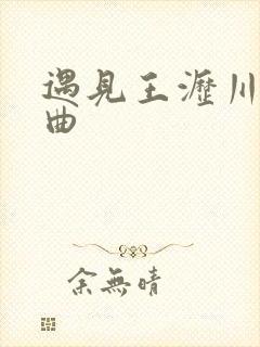 遇见王沥川片尾曲