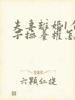 夫妻离婚1个孩子抚养权怎么判定