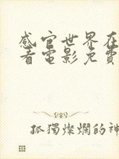 感官世界在线观看电影免费 感官世界在线观看电影免费