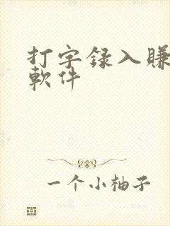 打字录入赚钱的软件