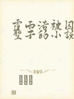 霍雨浩被囚禁当圣子的小说
