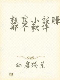 想写小说赚钱去哪个软件