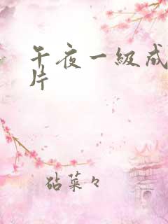 午夜一级成人大片