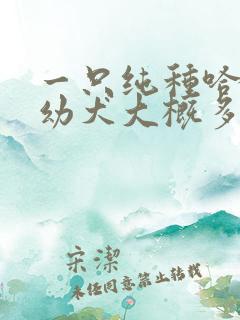 一只纯种哈士奇幼犬大概多少钱