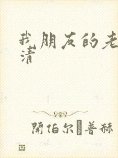 我朋友的老姐高清