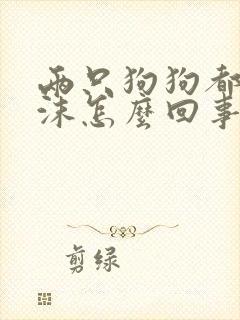两只狗狗都吐白沫怎么回事 两只狗狗都吐白沫怎么回事
