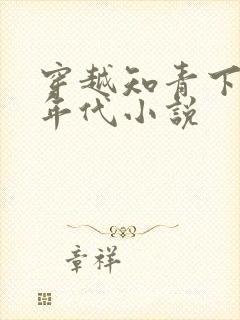穿越知青下乡的年代小说