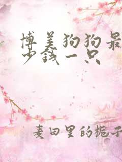 博美狗狗最贵多少钱一只
