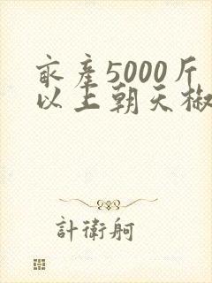 亩产5000斤以上朝天椒