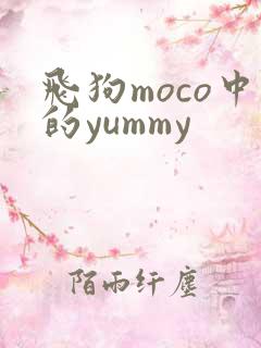 飞狗moco中的yummy