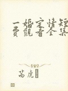 一婚定情短剧免费观看全集