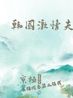 韩国激情夫妻片