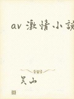 av 激情小说