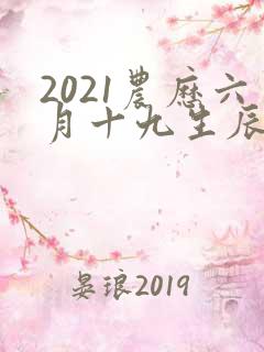 2021农历六月十九生辰八字