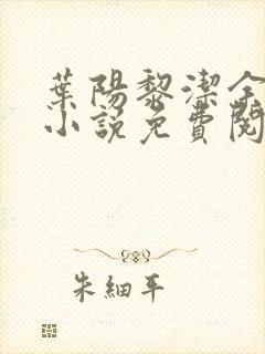 叶阳黎洁余秋水小说免费阅读官路青云天骄