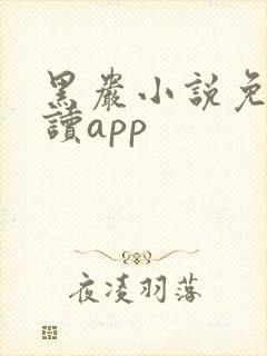 黑岩小说免费阅读app