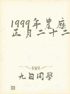 1999年农历正月二十二的生辰八字