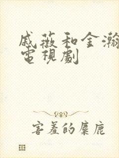戚薇和金瀚演的电视剧 戚薇和金瀚演的电视剧