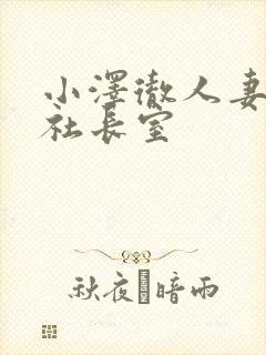 小泽彻人妻秘书社长室