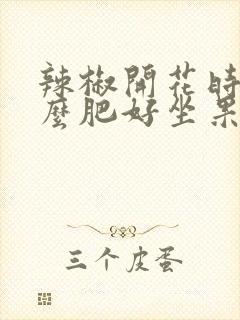 辣椒开花时用什么肥好坐果 辣椒开花时用什么肥好坐果