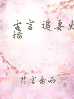古言 追妻火葬场