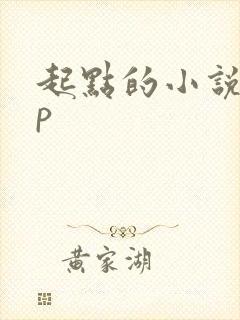 起点的小说app 起点的小说app