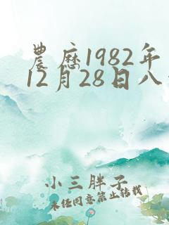 农历1982年12月28日八字算命