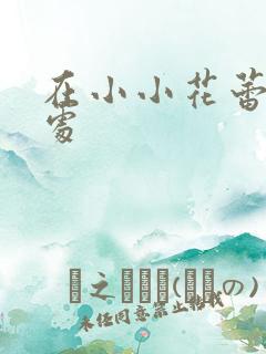 在小小花蕾的深处