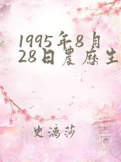 1995年8月28日农历生辰八字