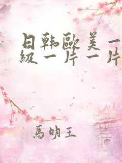 日韩欧美一级一级一片一片