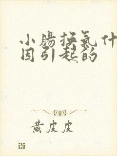 小肠换气什么原因引起的